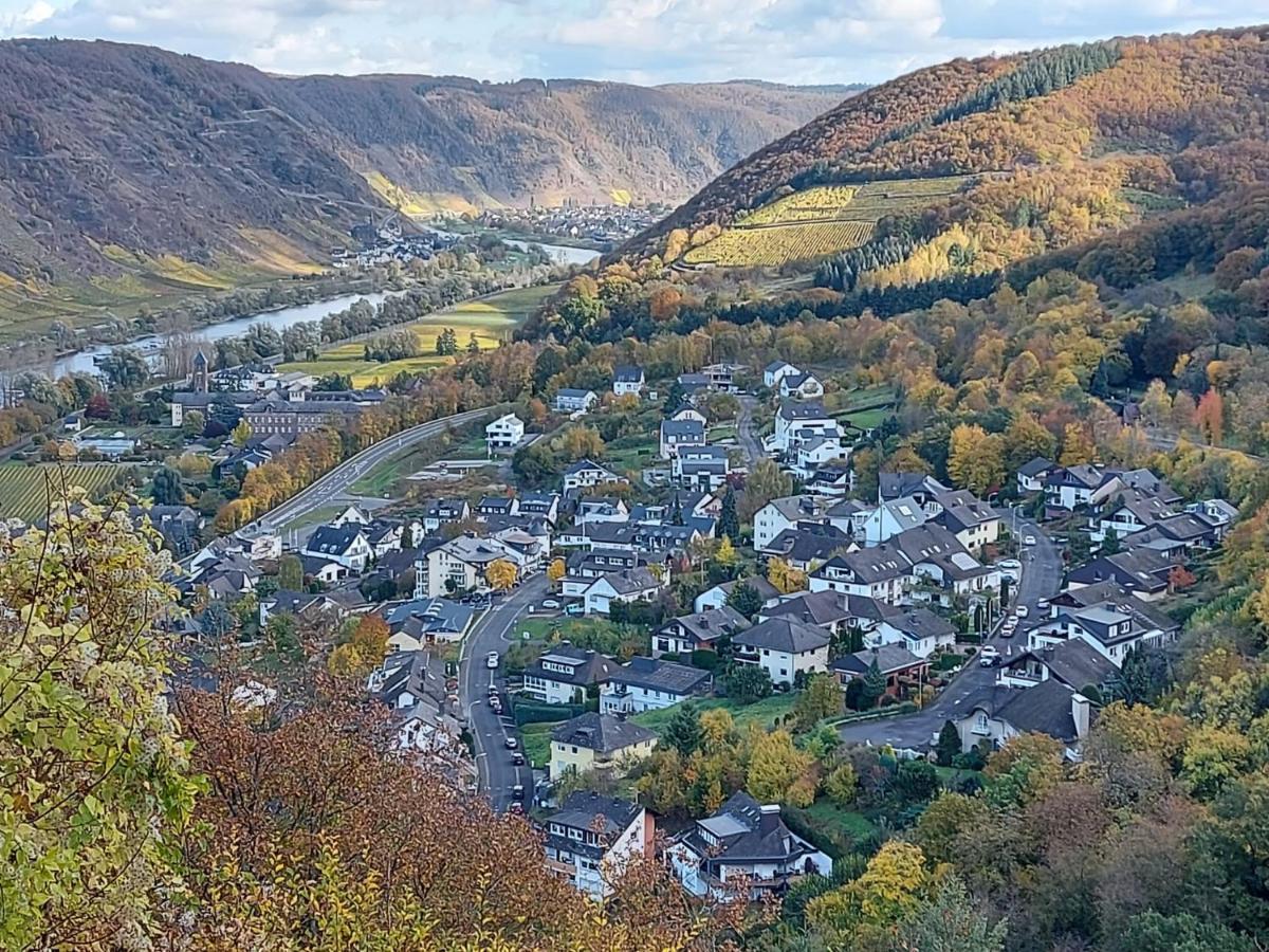 Ferienwohnung Meyver Commune fusionnée de Cochem-Land Extérieur photo
