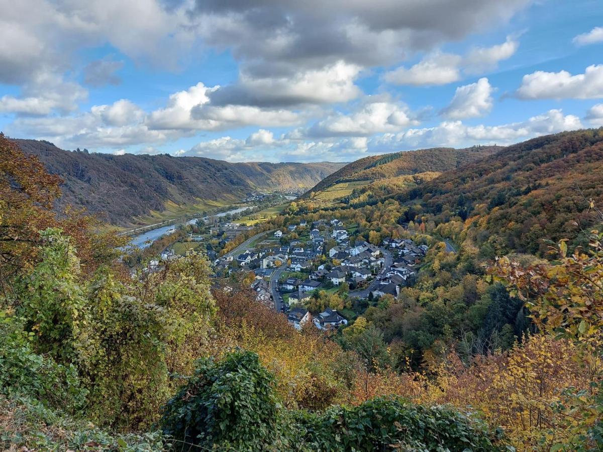 Ferienwohnung Meyver Commune fusionnée de Cochem-Land Extérieur photo