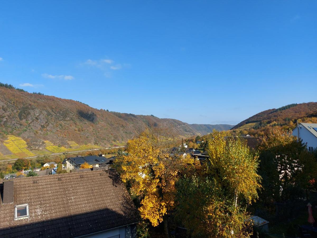 Ferienwohnung Meyver Commune fusionnée de Cochem-Land Extérieur photo